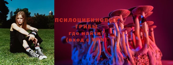 тгк Беломорск