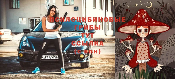 тгк Беломорск