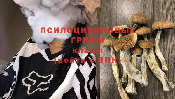 тгк Беломорск