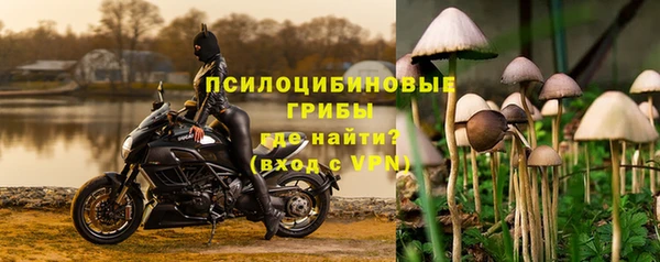 тгк Беломорск