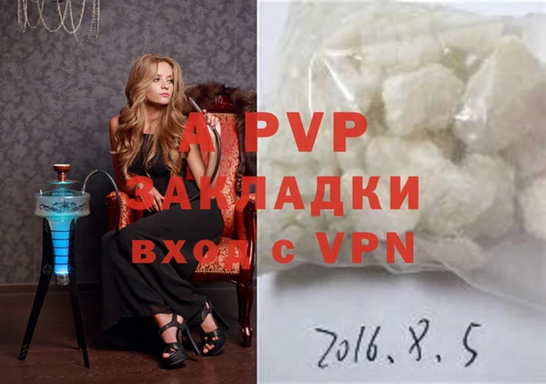 a pvp Белокуриха