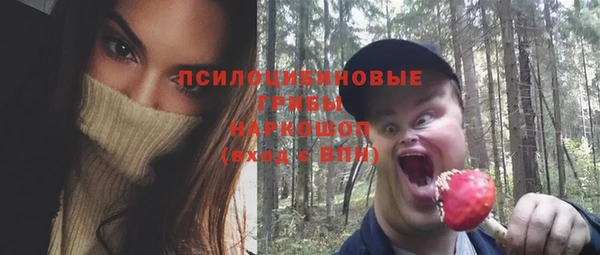 тгк Беломорск