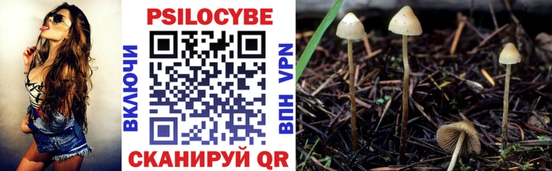 Галлюциногенные грибы Magic Shrooms  купить закладку  Первомайск 